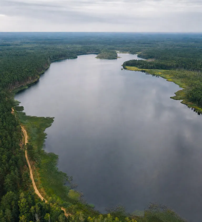 Lake and forest landscape in Belarus