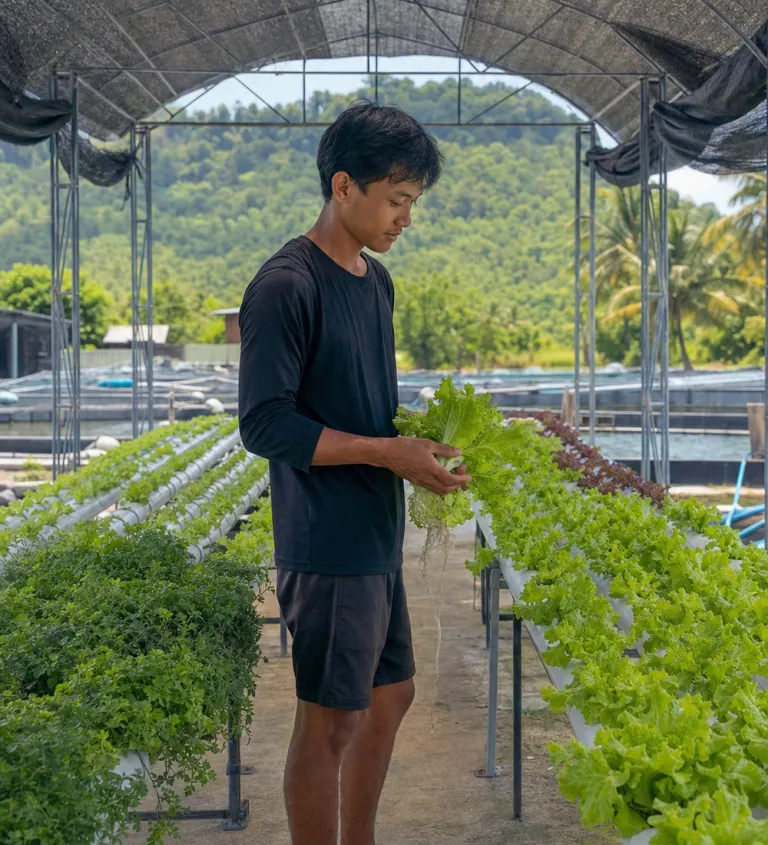 Shaded greenhouse with hydroponic channels