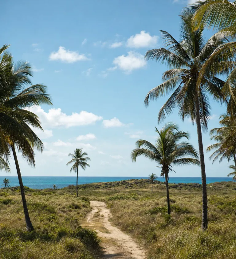 Coastal plot on the island