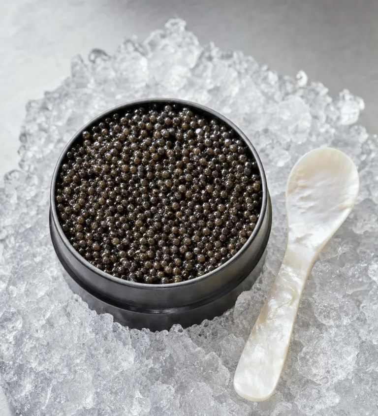 Fresh sturgeon caviar in an open tin on ice