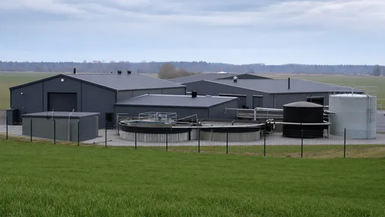 Insights into Aquaculture: Advancements and Regulatory Landscape in the EU